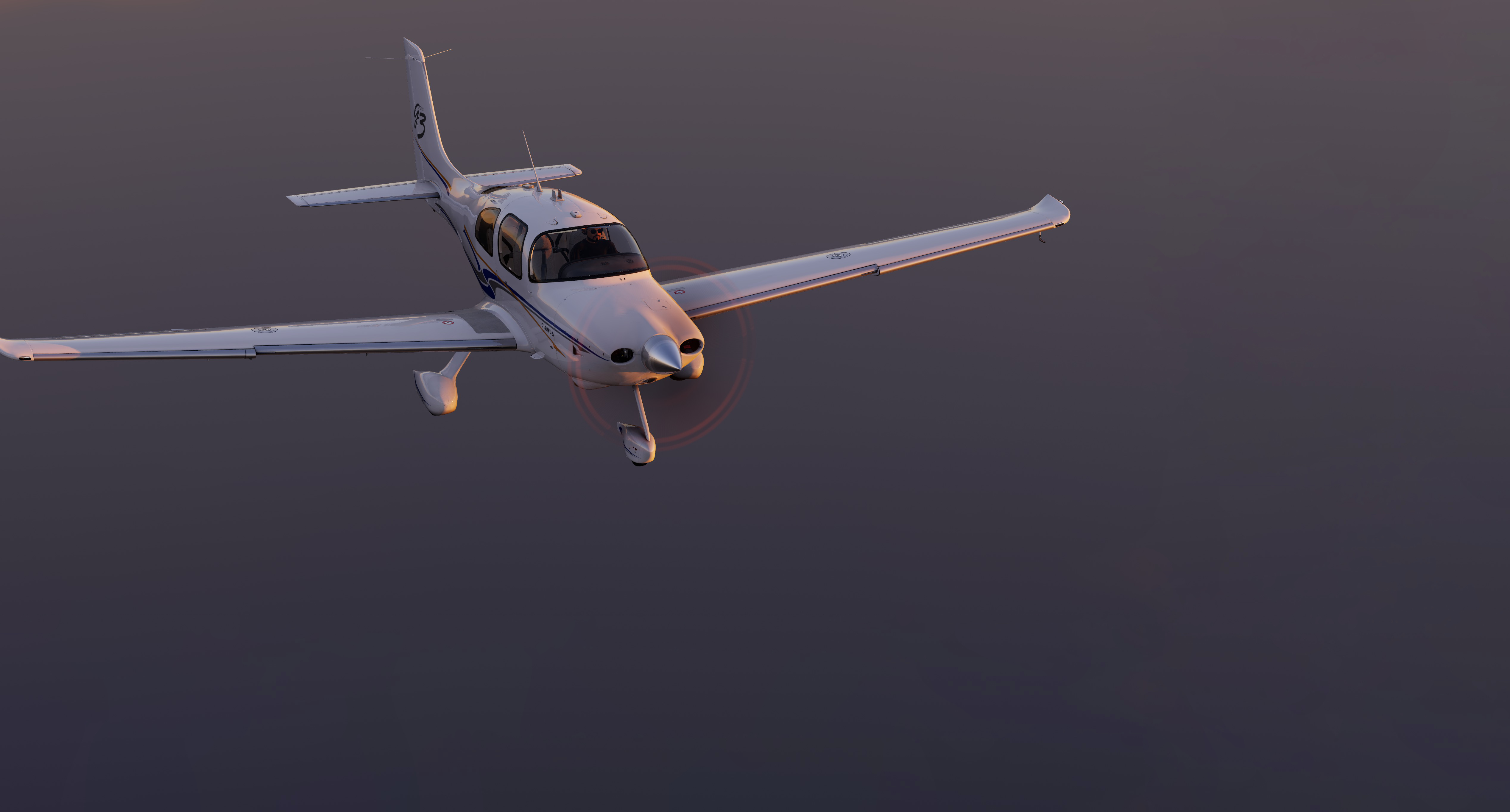 Take Command! SR22 Avidyne